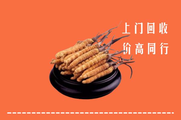 高价求购：珠海市回收散虫草