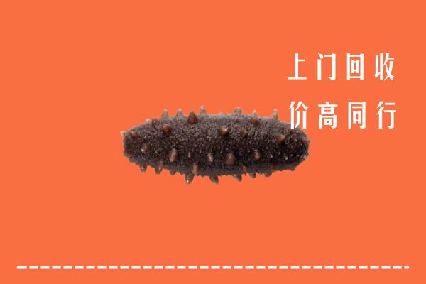 高价求购：珠海市回收海参