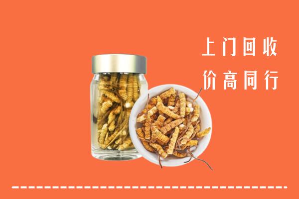 珠海市回收冬虫夏草