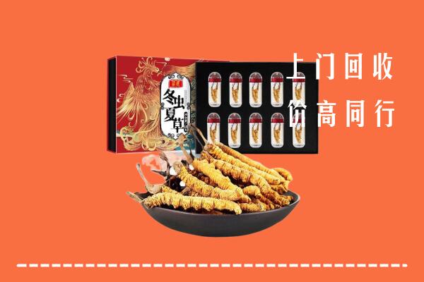 珠海市回收虫草